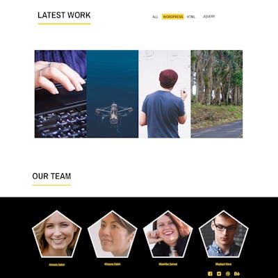 ACAN Free Template HTML&PSD