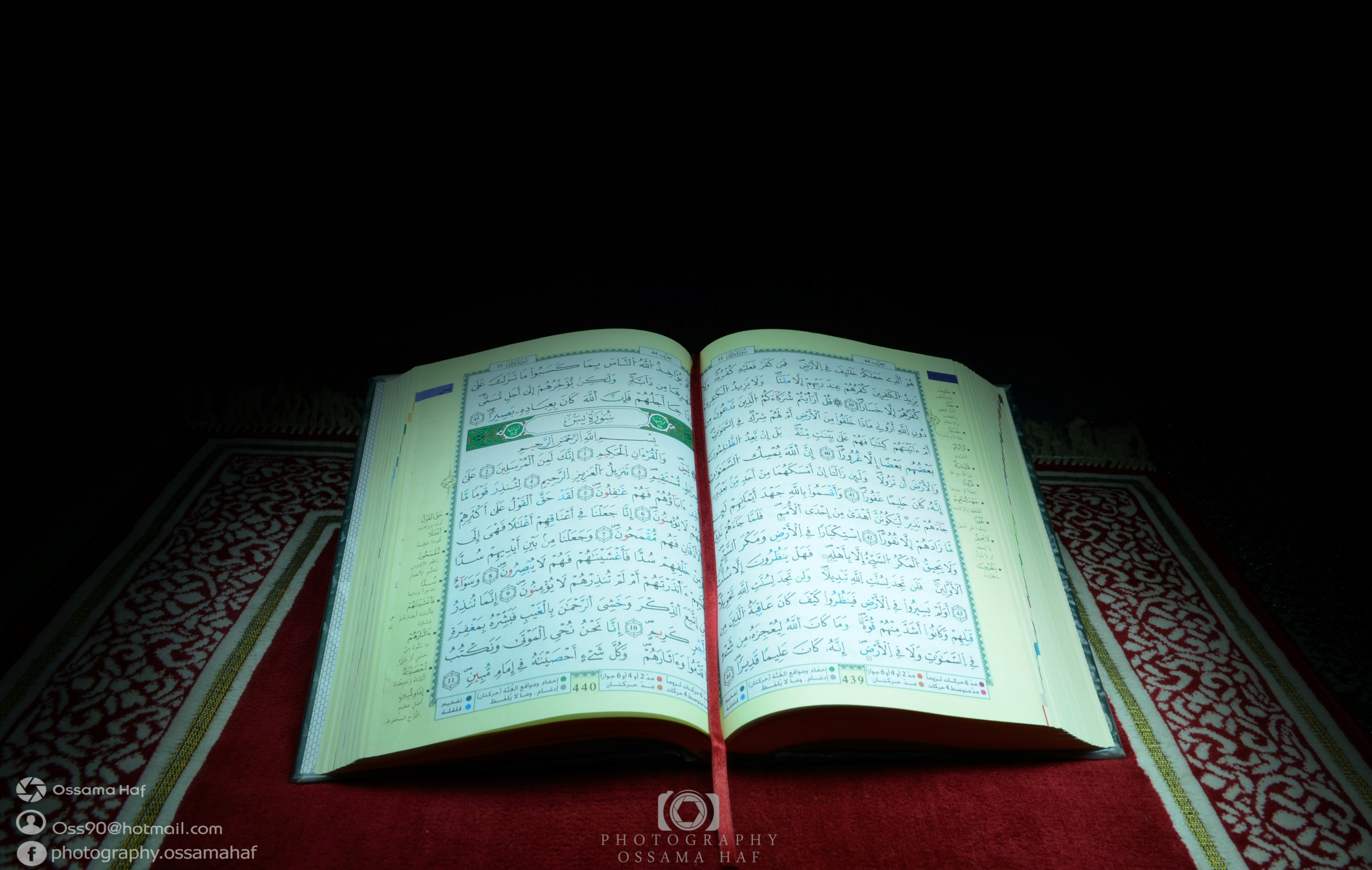 الصلاة وتلاوة القرآن